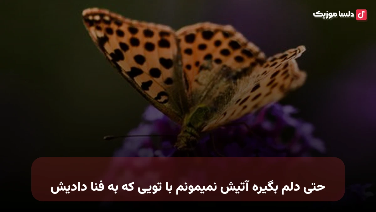 حتی دلم بگیره آتیش نمیمونم با تویی که به فنا دادیش